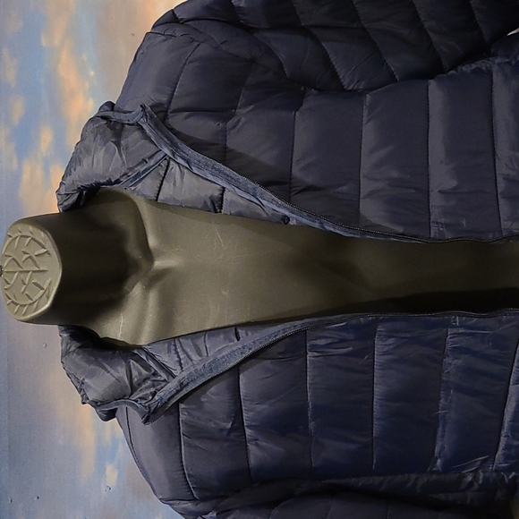 Bleu Grandeur Coat - Picture 3 of 9